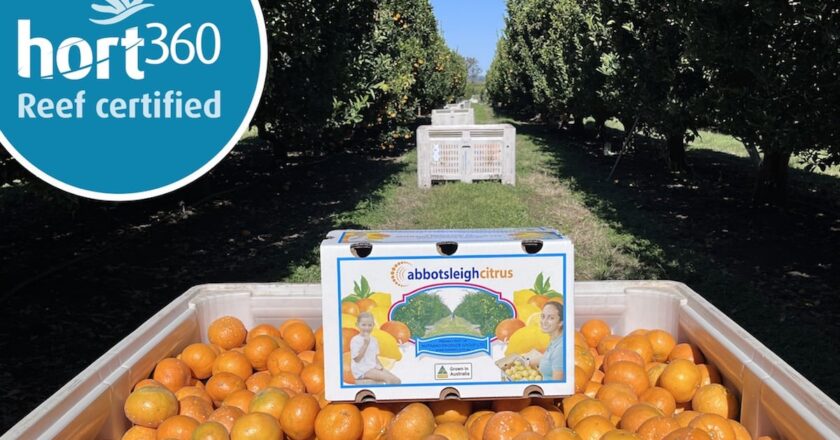 Nutrano Produce Group is thrilled to announce that Abbotsleigh Farm has been awarded the important Hort360 Reef Certification.