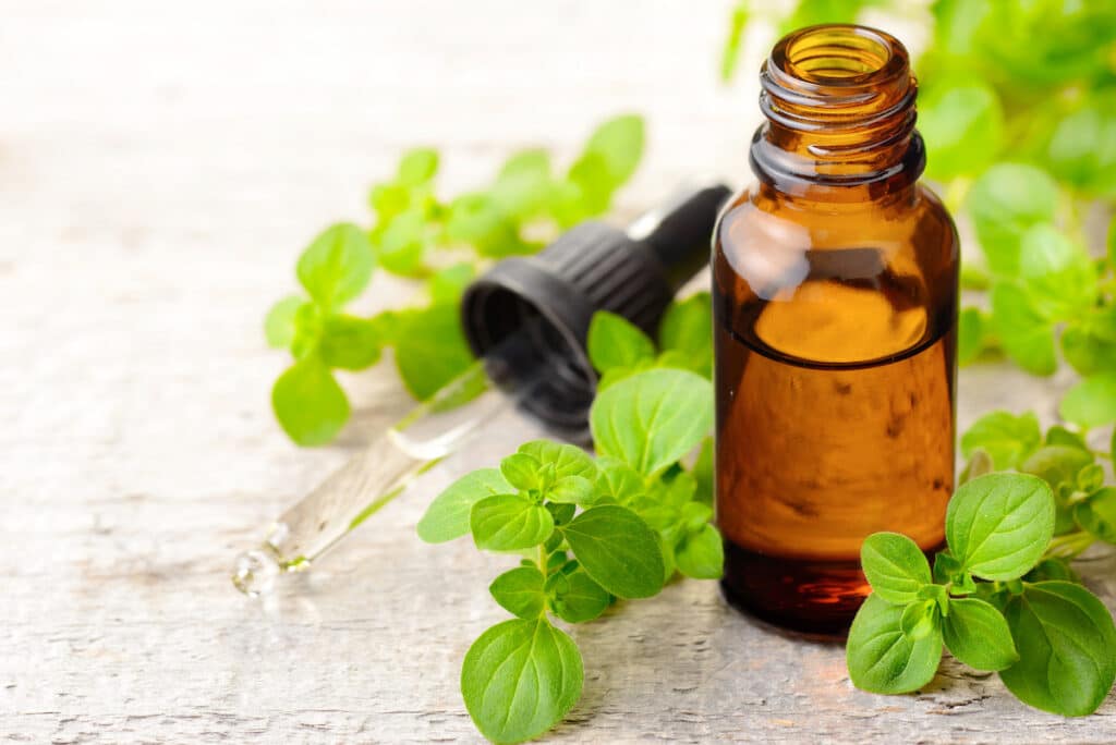 According to a recent study by Fact.MR, the global Oregano Oil Market is estimated to reach $12.23 billion by 2024.
