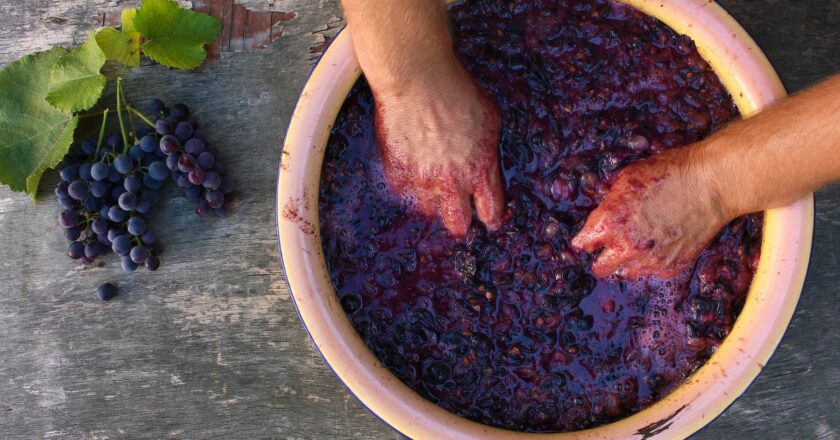 Research finds healthy use for winemaking waste