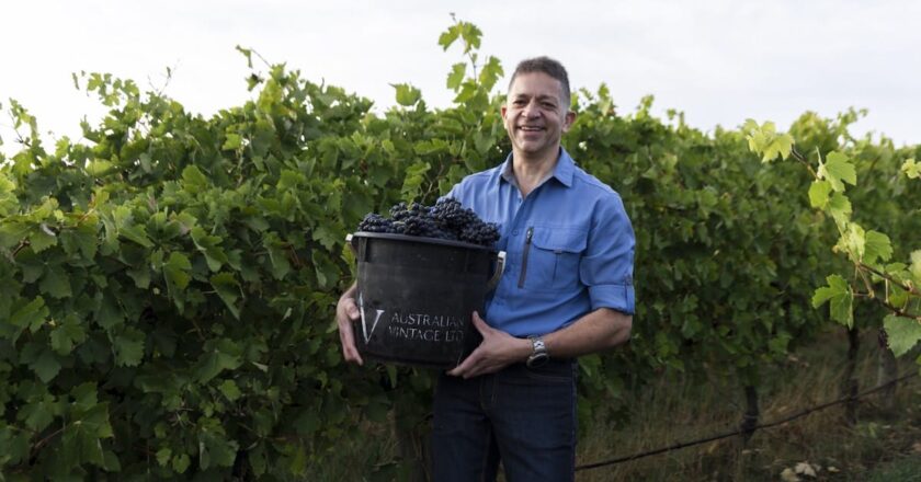 Australian Vintage announced certification of 100 per cent of its owned and operated vineyards by Sustainable Winegrowing Australia.