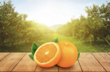 Citrus and deciduous fruit growers across NSW continue to be supported through NSW Department of Primary Industries.