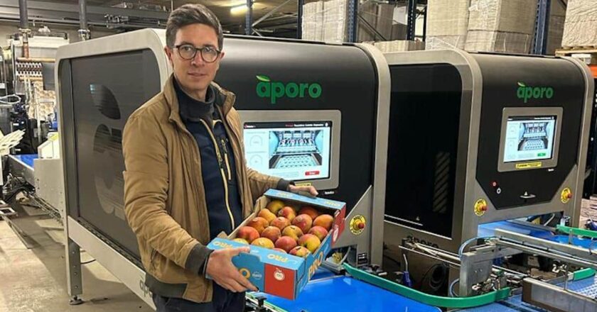 Manufacturer, Robotics Plus Limited, has just hit a major milestone, having packed one billion pieces of fruit.
