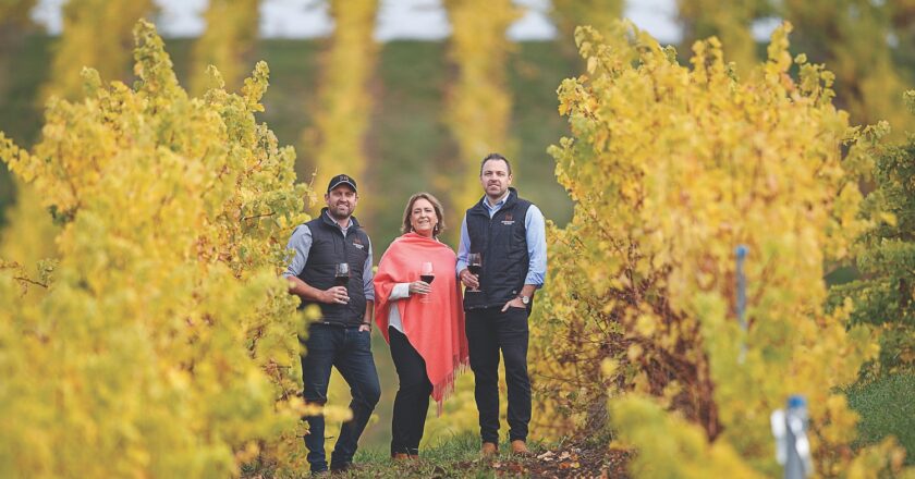 What started out as a financial crisis decades ago turned into a successful winery, Barristers Block in Adelaide Hills.